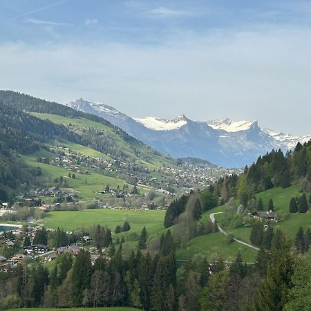 Chalet Saint Victor, Praz Sur Arly Εξωτερικό φωτογραφία